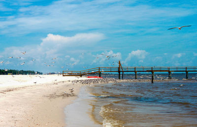 Seagulls on beach