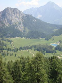 High angle view of trees on landscape