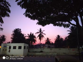 Low angle view of silhouette trees against sky at sunset