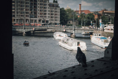 Boats in river