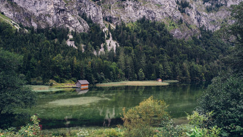 Scenic view of lake in forest