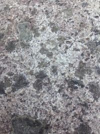 Full frame shot of tiled floor