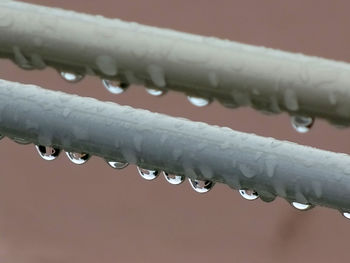 Close-up of water drops on rope against sky