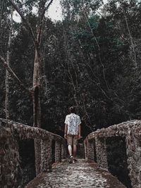 Rear view of man walking in forest