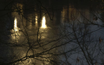 Bare trees against sky at sunset