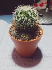Close-up of potted plant on table