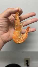 Close-up of hand holding ice cream