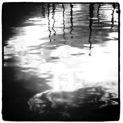 Reflection of trees in water