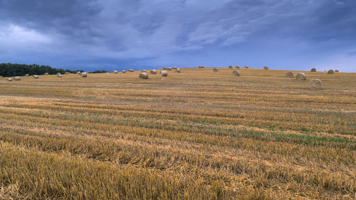 Hay bales on field against sky