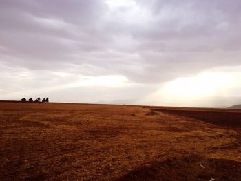 Scenic view of landscape against cloudy sky