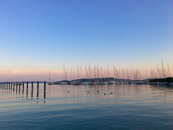 Sailboats in sea at sunset