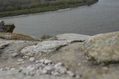 Surface level of rocks at beach
