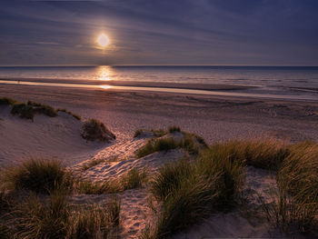 Beautiful view over marram grass covered dunes vers dark sky prior to sunset,