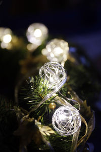 Close-up of illuminated christmas tree at night