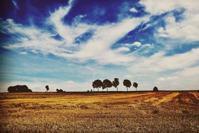 Hay bales on field against sky