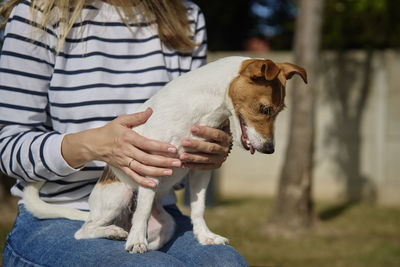 Midsection of man with dogs