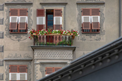 Low angle view of potted plants on balcony of building