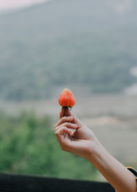 Midsection of person holding apple against blurred background