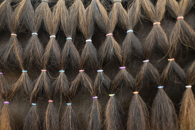 Horse hair close. pigtails on elastic bands. texture from horse hair. animal in detail.