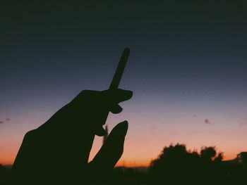 Silhouette person holding leaf against sky during sunset
