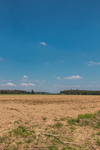 Scenic view of agricultural field against blue sky