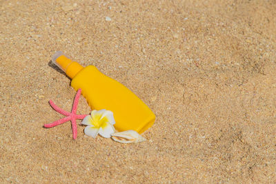 High angle view of yellow flowers on sand