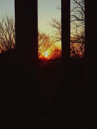 Silhouette trees at sunset