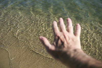 Cropped hand of person at beach