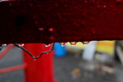 Close-up of water drops on red leaf