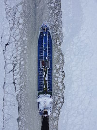 High angle view of snow covered tree by building