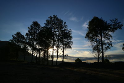 Silhouette trees on field against sky during sunset