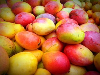 Full frame shot of fruits for sale