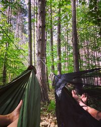 Low section of man in forest
