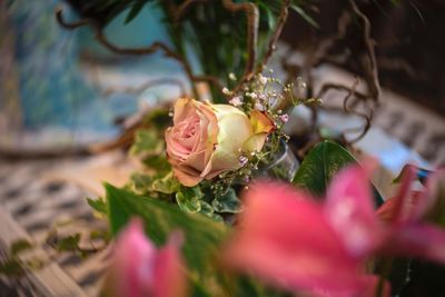 Close-up of rose bouquet