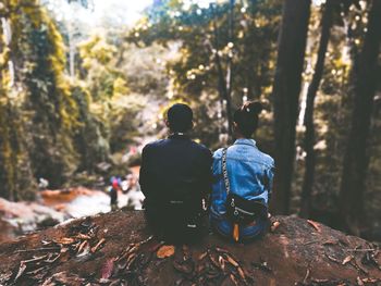 Rear view of friends sitting on land in forest