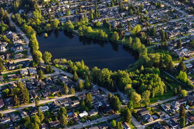 High angle view of river amidst trees and buildings in city