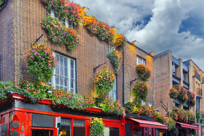 Temple bar street in dublin city center, ireland