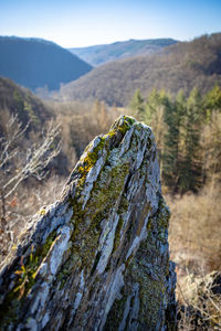 Close-up of rocks on land