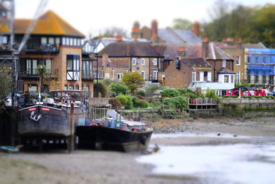 Houses with trees in background