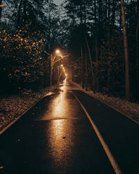 Empty road along trees at night