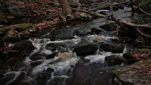 River flowing through rocks in forest