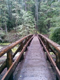 Footbridge in forest