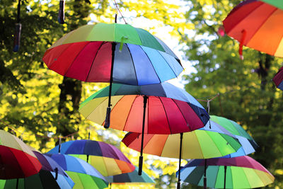 Close-up of colorful umbrella