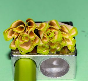 Close-up of yellow roses over white background