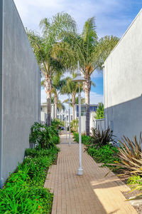 Potted plants by building against sky