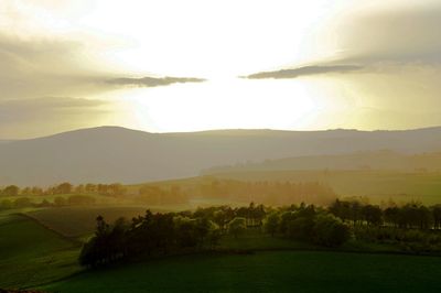 Scenic view of grassy field against sky during sunset