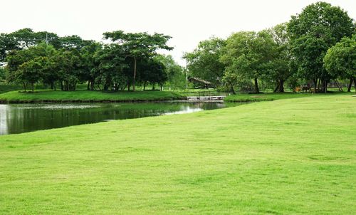 Scenic view of lake against trees