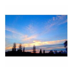 Silhouette of trees against sky at sunset