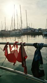 Boats in harbor