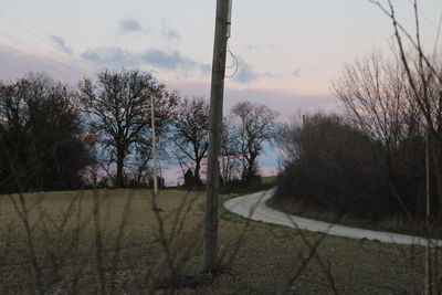 Bare trees on field against sky during sunset